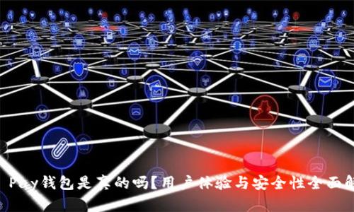 OK Pay钱包是真的吗？用户体验与安全性全面解析