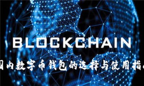 国内数字币钱包的选择与使用指南