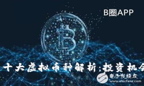 2023年世界十大虚拟币种解析：投资机会与风险分析