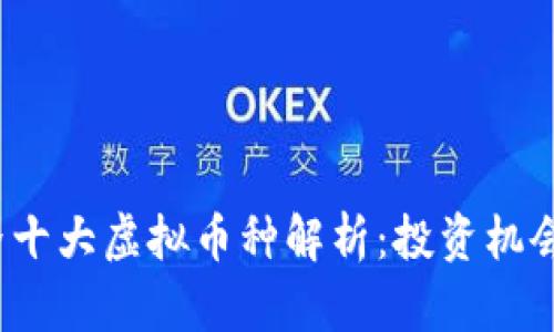 2023年世界十大虚拟币种解析：投资机会与风险分析