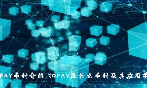 TOPAY币种介绍：TOPAY是什么币种及其应用前景