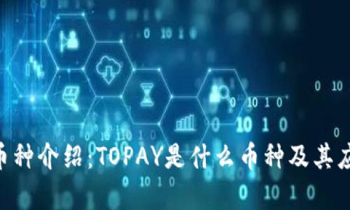 TOPAY币种介绍：TOPAY是什么币种及其应用前景