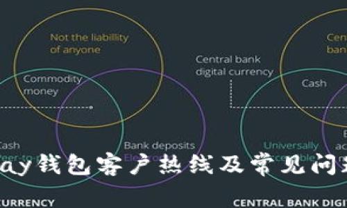 : OkPay钱包客户热线及常见问题解答