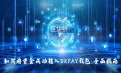 如何将资金成功转入OKPAY钱包：全面指南