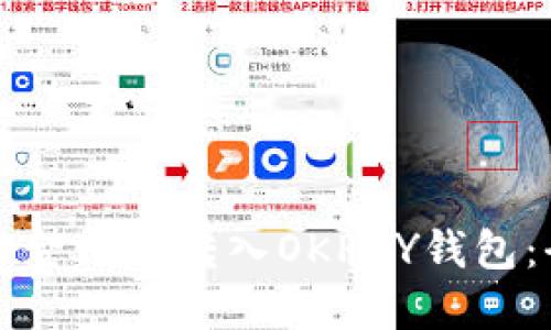 如何将资金成功转入OKPAY钱包：全面指南