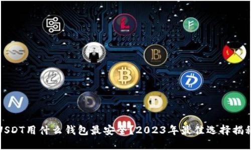 USDT用什么钱包最安全？2023年最佳选择揭秘