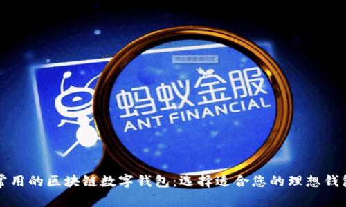 常用的区块链数字钱包：选择适合您的理想钱包
