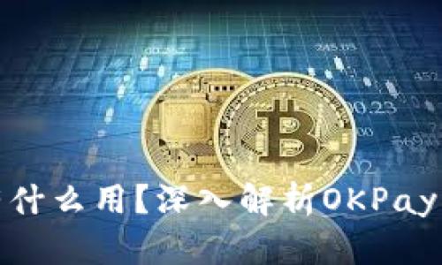 OKPay钱包的币有什么用？深入解析OKPay钱包的功能与应用