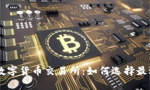 中国承认的数字货币交易所：如何选择最适合你的平台