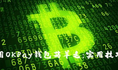 如何利用OKPay钱包薅羊毛：实用技巧与方法