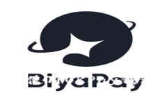 如何下载和使用OKPay钱包：全面指南