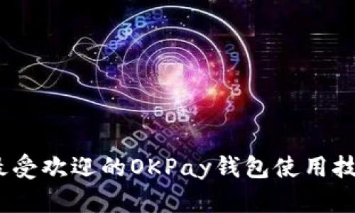 2023年最受欢迎的OKPay钱包使用技巧与心得