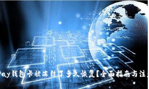 玩OKPay钱包卡被冻结了多久恢复？全面指南与注意事项