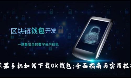 苹果手机如何下载OK钱包：全面指南与实用技巧