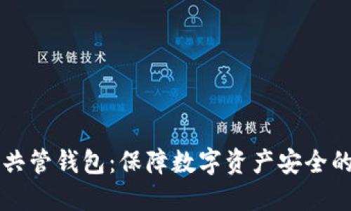区块链共管钱包：保障数字资产安全的新风尚