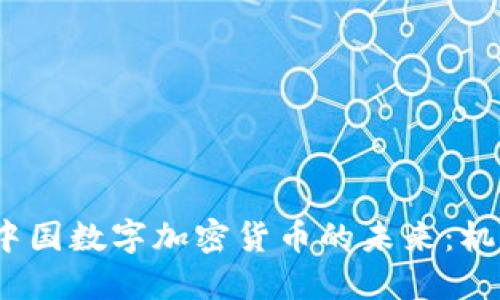 2023年中国数字加密货币的未来：机遇与挑战
