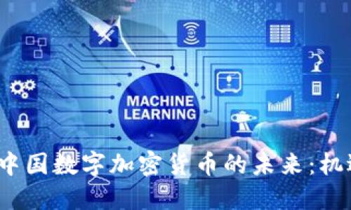 2023年中国数字加密货币的未来：机遇与挑战