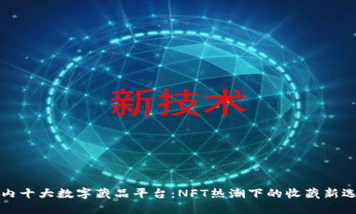 国内十大数字藏品平台：NFT热潮下的收藏新选择