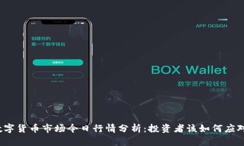 数字货币市场今日行情分析：投资者该如何应对？