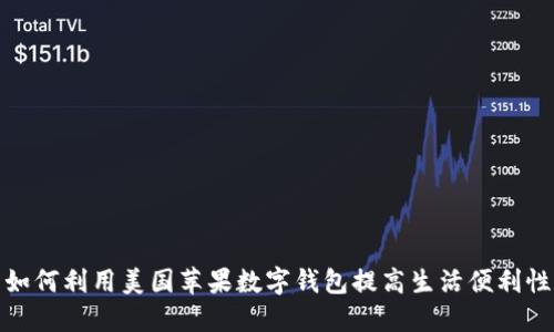 如何利用美国苹果数字钱包提高生活便利性