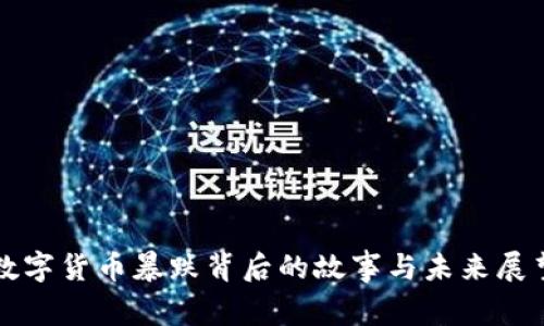 数字货币暴跌背后的故事与未来展望