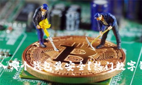 OK币转入哪个钱包最安全？热门数字钱包推荐