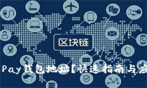 如何获取OKPay钱包地址？快速指南与应用场景分析