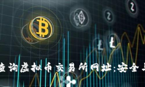 如何快速查询虚拟币交易所网址：安全与效率并重