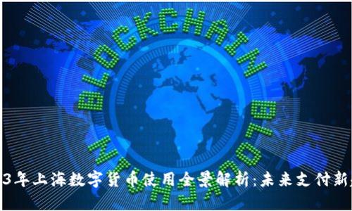 2023年上海数字货币使用全景解析：未来支付新趋势