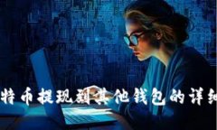 OK比特币提现到其他钱包的详细指南