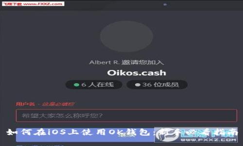 如何在iOS上使用OK钱包：新手必看指南