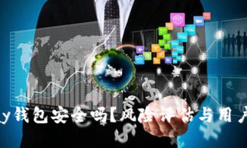OkPay钱包安全吗？风险评估与用户指南