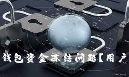 如何解决OKPay钱包资金冻结问题？用户指南及解决方案