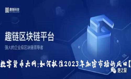 数字货币大网：如何抓住2023年加密市场的风口？