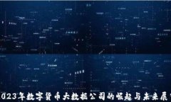 2023年数字货币大数据公司的崛起与未来展望