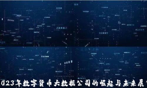 
2023年数字货币大数据公司的崛起与未来展望