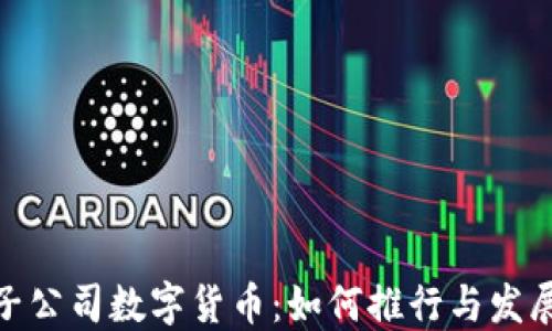 
全资子公司数字货币：如何推行与发展机会