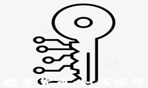 
全资子公司数字货币：如何推行与发展机会