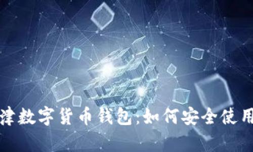 全面解析天津数字货币钱包：如何安全使用及投资前景