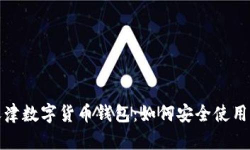 全面解析天津数字货币钱包：如何安全使用及投资前景