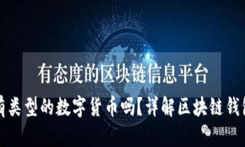 区块链钱包能存储所有类型的数字货币吗？详解区块链钱包的兼容性与使用体验