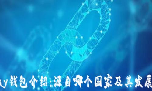 
OKPay钱包介绍：源自哪个国家及其发展历程