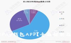什么是OKPay钱包APP？全面解析及使用指南