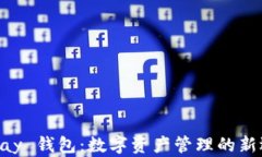 OKPay 钱包：数字资产管理的新选择