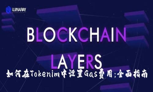 如何在Tokenim中设置Gas费用：全面指南