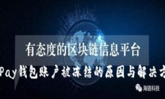 OKPay钱包账户被冻结的原因与解决方案